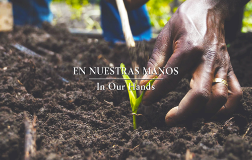  En Nuestras Manos/In Our Hands